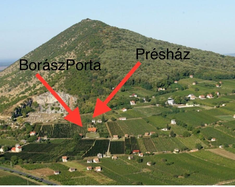 Boraszporta - Preshaz Hotell Villány Eksteriør bilde