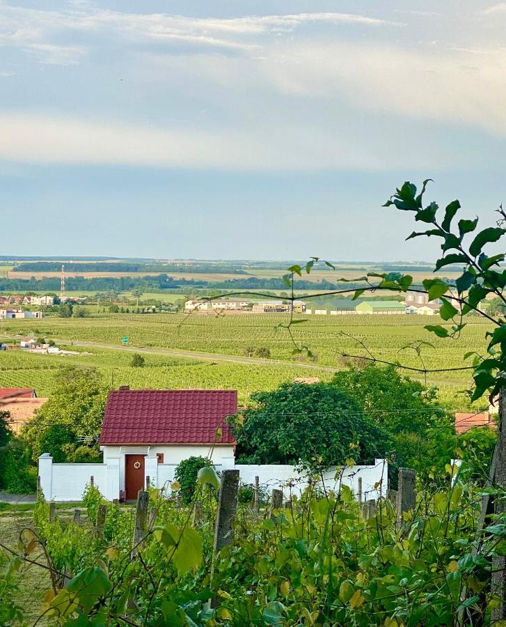 Boraszporta - Preshaz Hotell Villány Eksteriør bilde