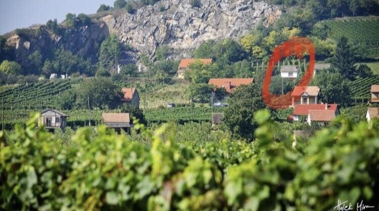 Boraszporta - Preshaz Hotell Villány Eksteriør bilde