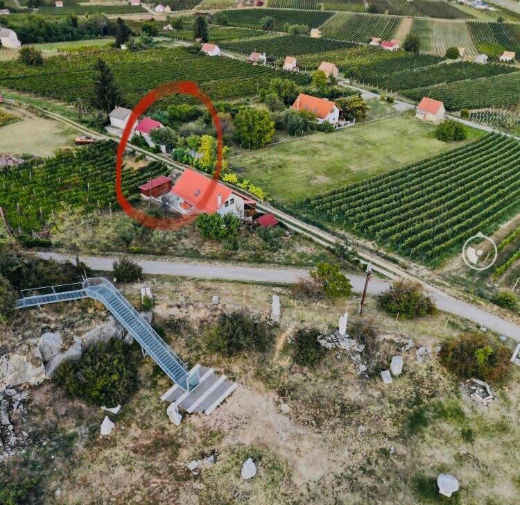 Boraszporta - Preshaz Hotell Villány Eksteriør bilde